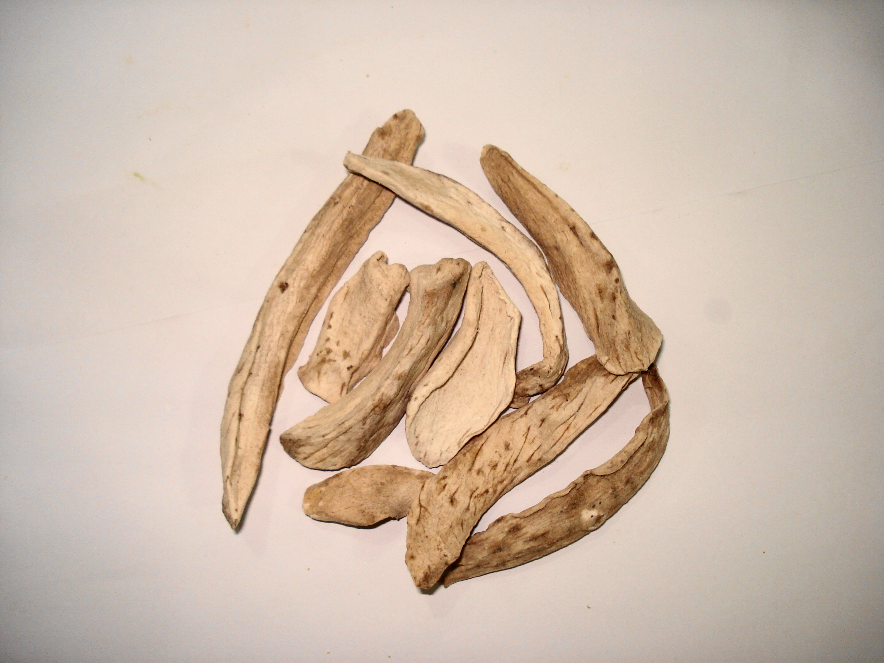 Trade Candy Bars for Dried Mango Slices (No Added Sugar) (image credits: wikimedia)