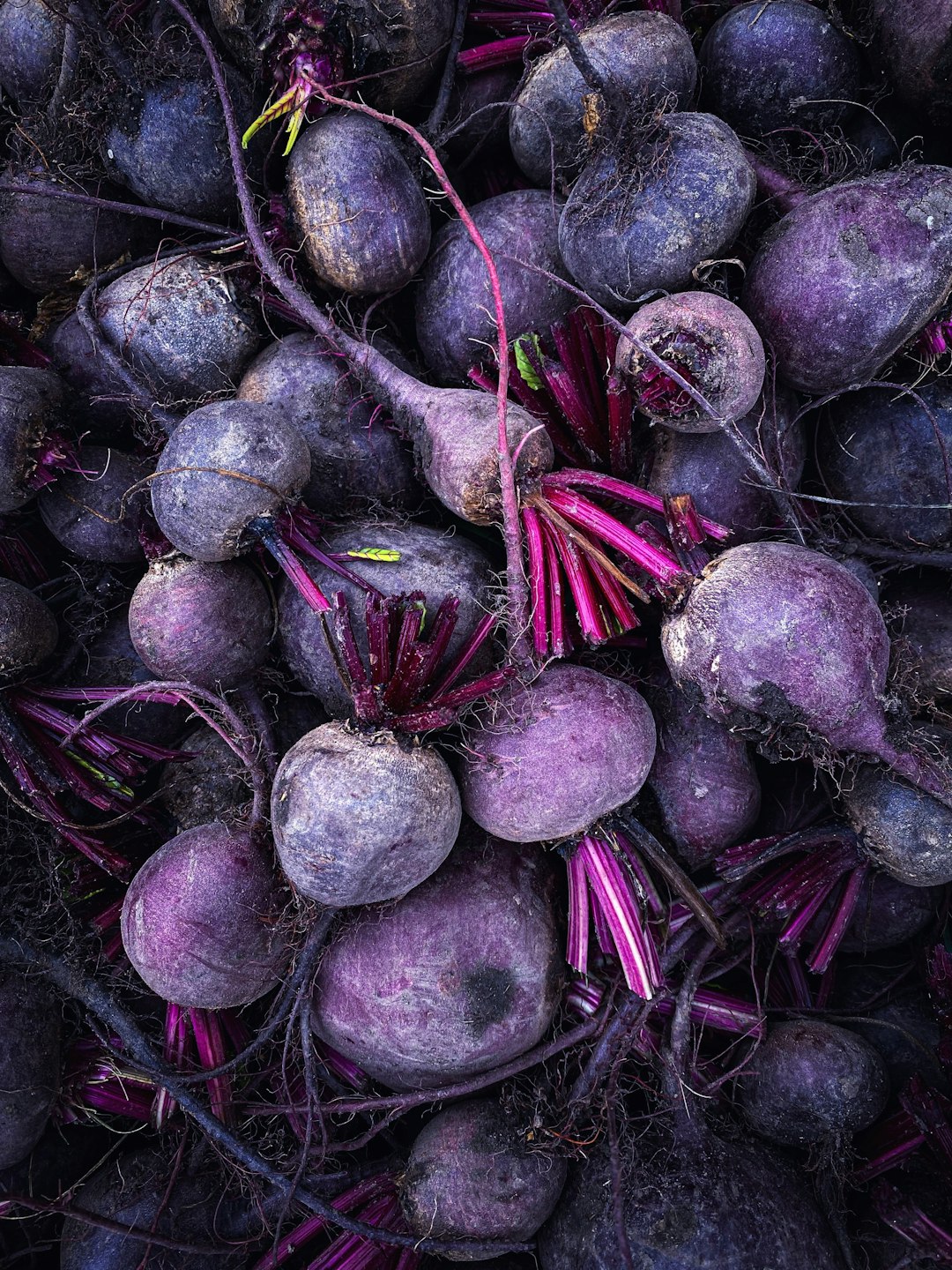 Beets: The Sweet Root with Serious Benefits (image credits: unsplash)