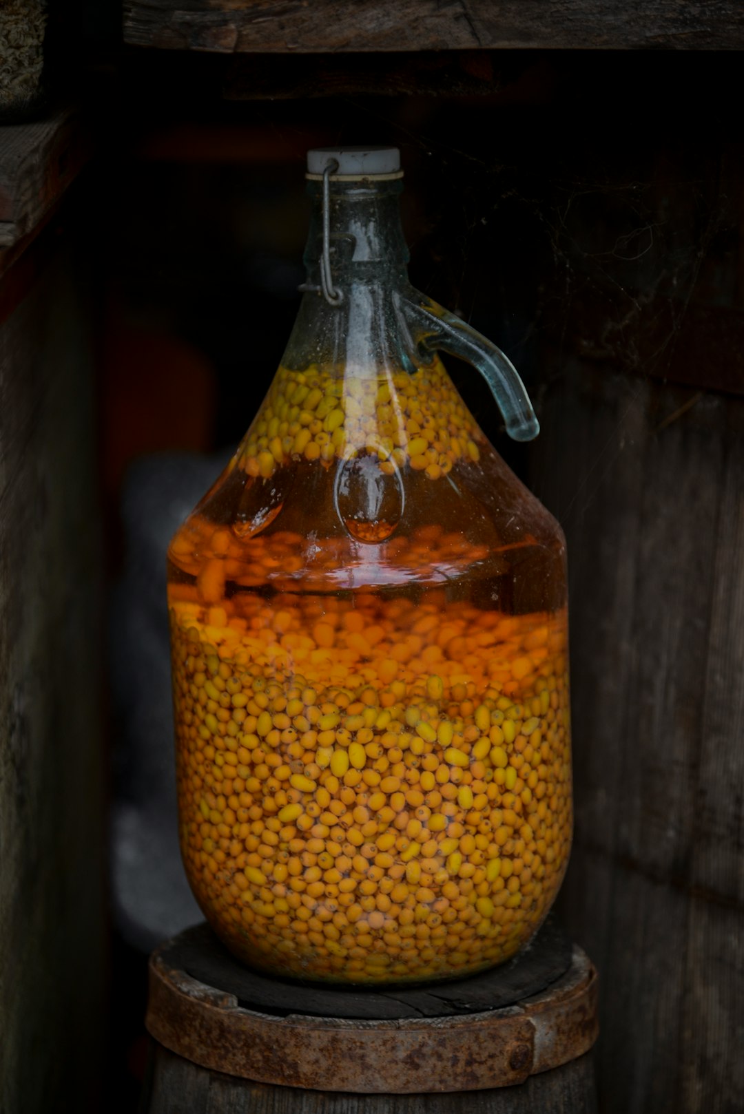 African Traditional Fermented Beverages (Image Credits: Unsplash)