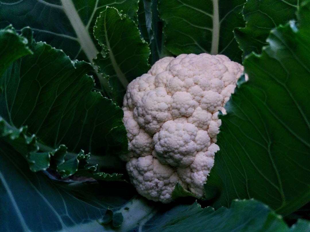 Cauliflower Maintains Its Versatility and Vitamin C (image credits: unsplash)
