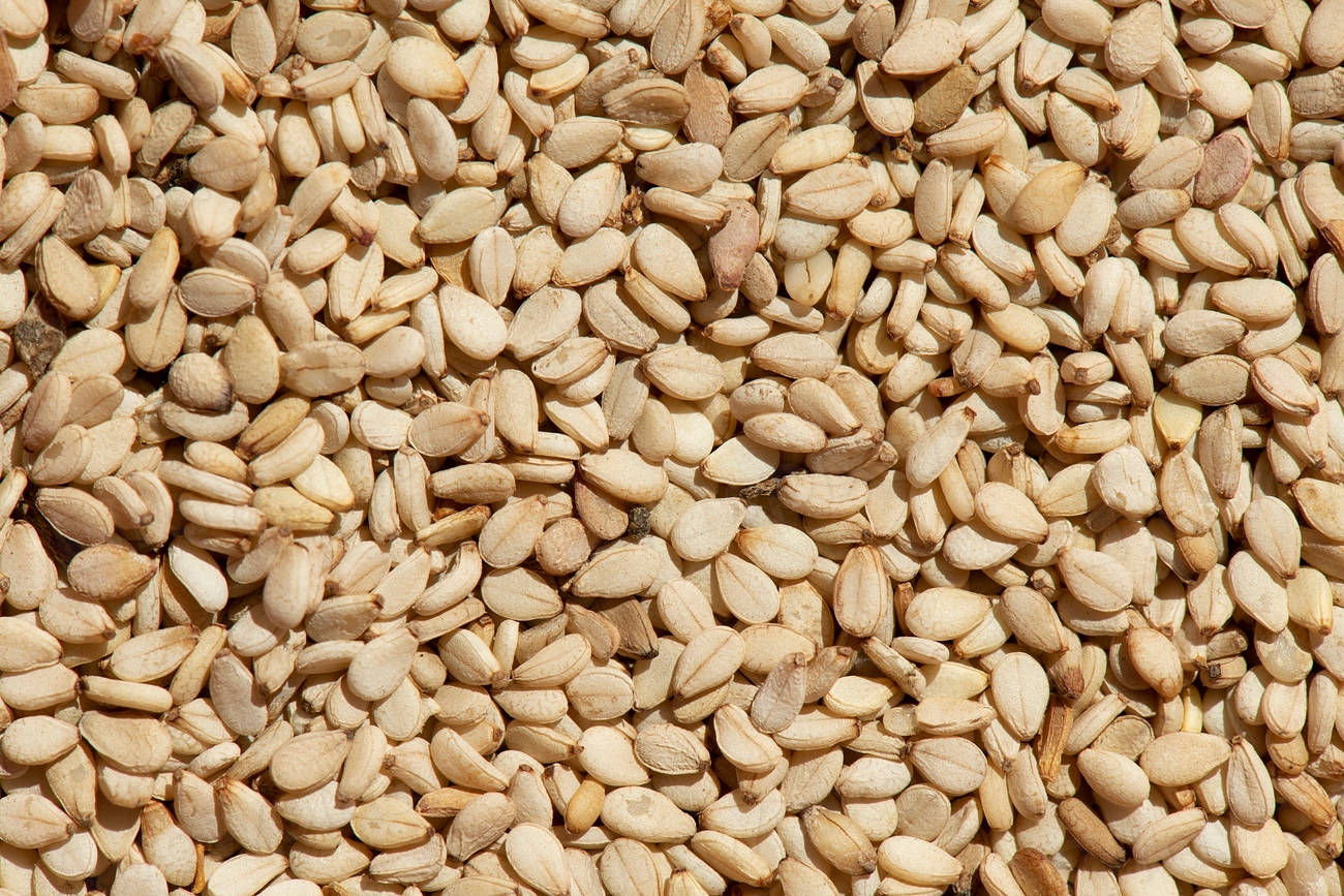Sesame Seeds: The Ancient Healing Treasures (image credits: rawpixel)