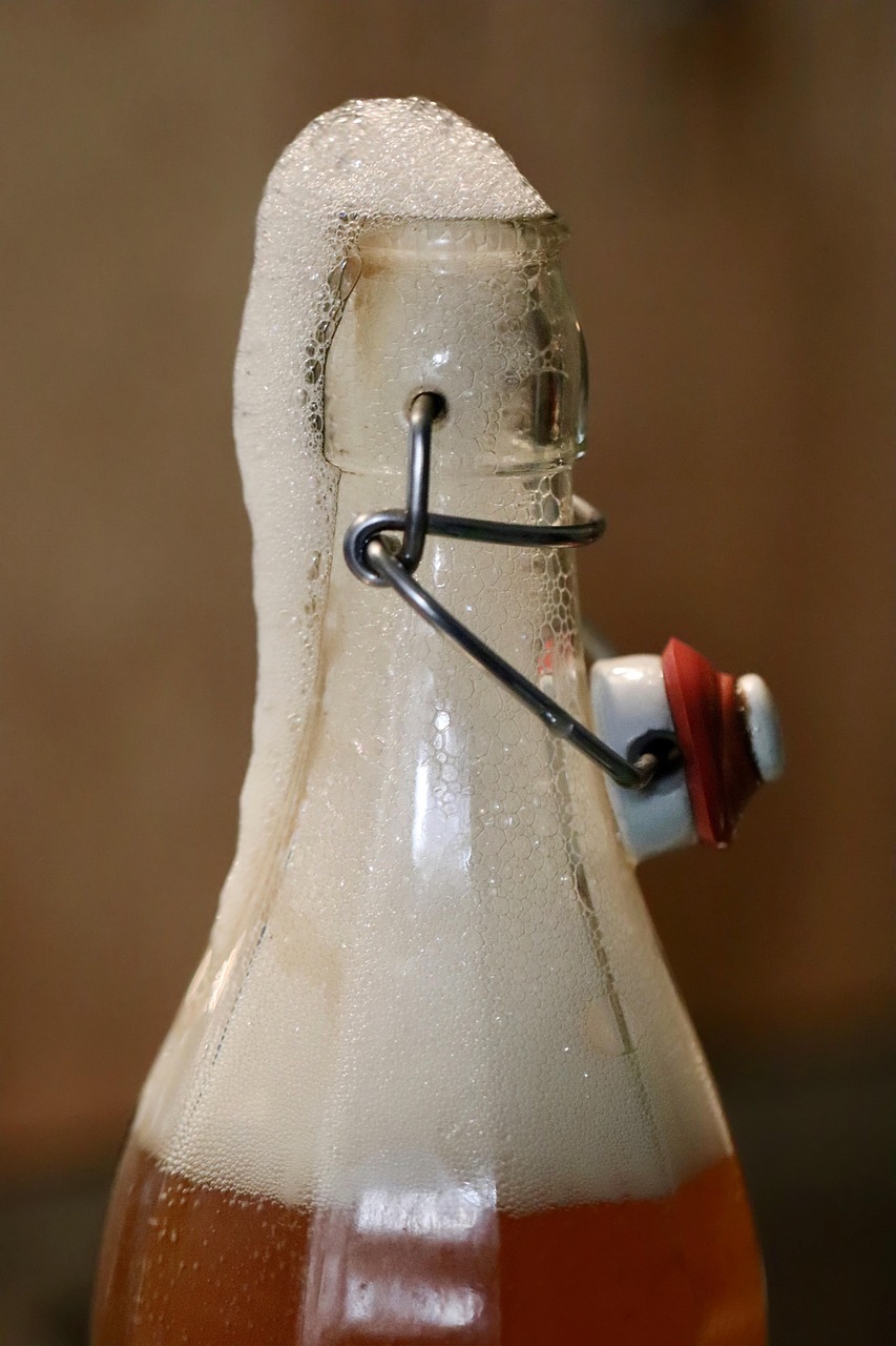 Fermentation: The Secret Sauce Behind Probiotic Sweets (image credits: pixabay)