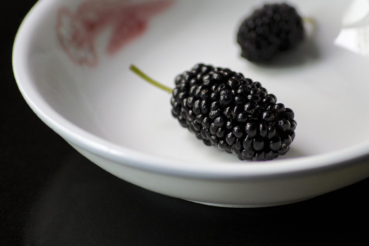 9. Mulberries: A Hidden Gem (image credits: pixabay)