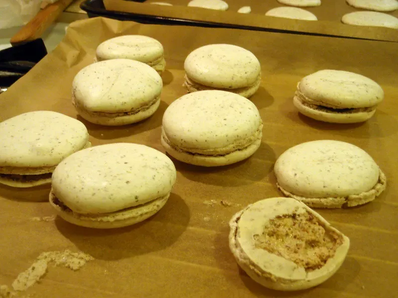 The Hollow Macaron Shell Enigma (Image Credits: Flickr)