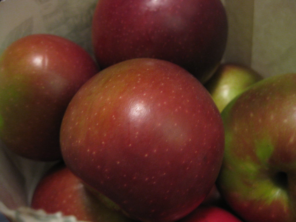 Arkansas Black Apples: The Wine of Fruit (Image Credits: Flickr)