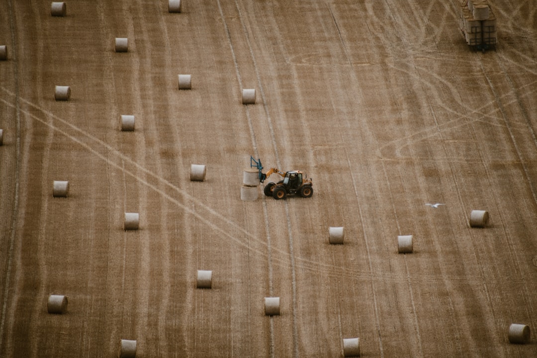 Blockchain: The Digital Truth Detector for Food (image credits: unsplash)