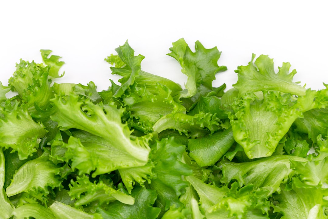 Romaine Lettuce: The Crunchy Classic (image credits: unsplash)