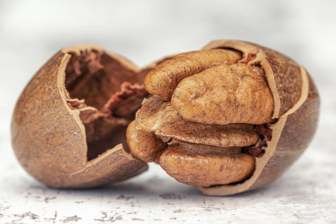 Pecans: Sweet, But Not a Cheat (image credits: pixabay)