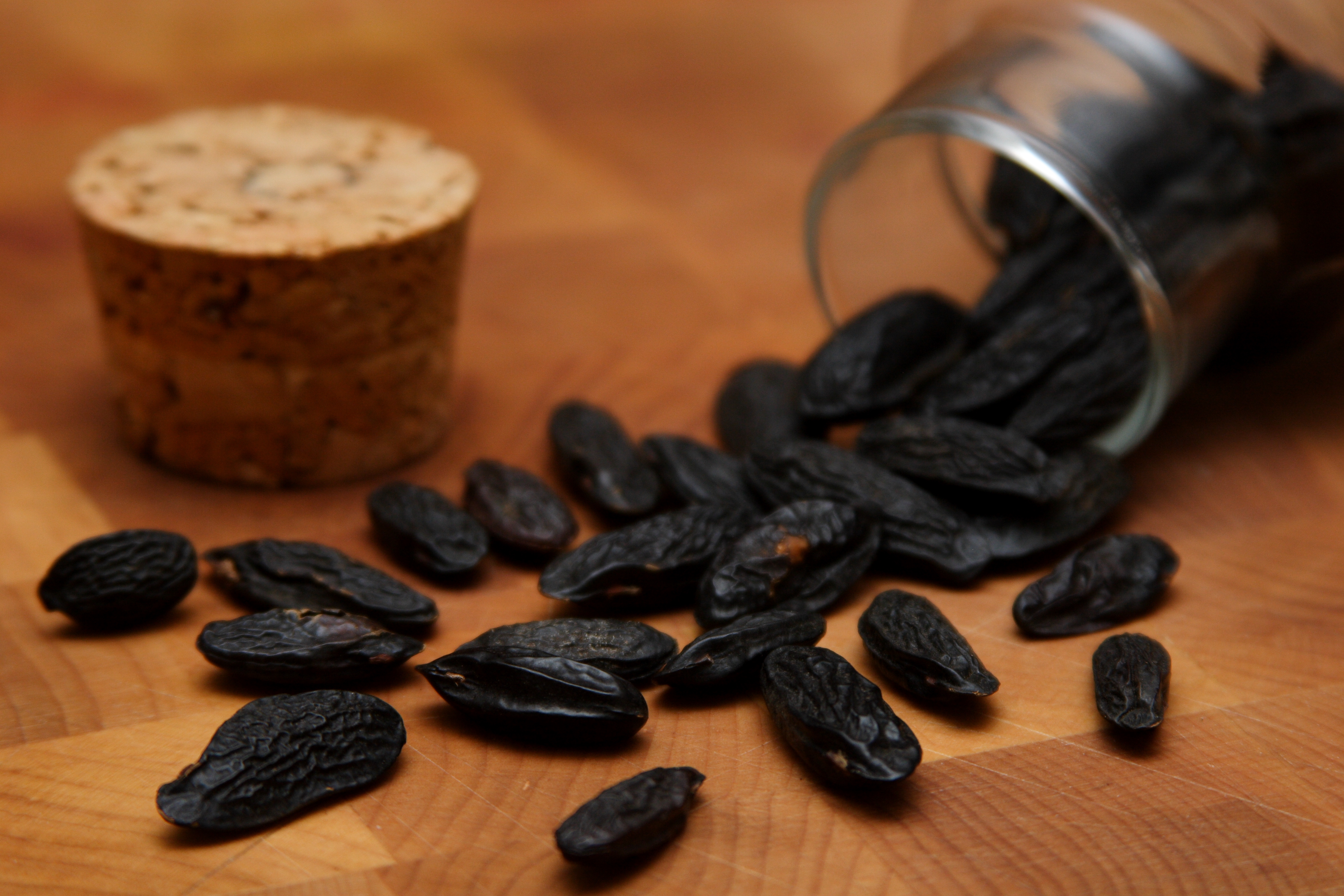 Tonka Bean: The Aromatic Bean with a Vanilla Twist (image credits: wikimedia)