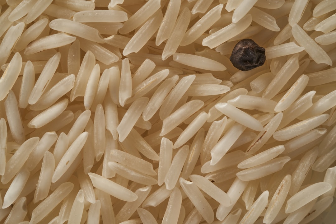 Brown Rice Goes Bad Within Six Months (Image Credits: Unsplash)