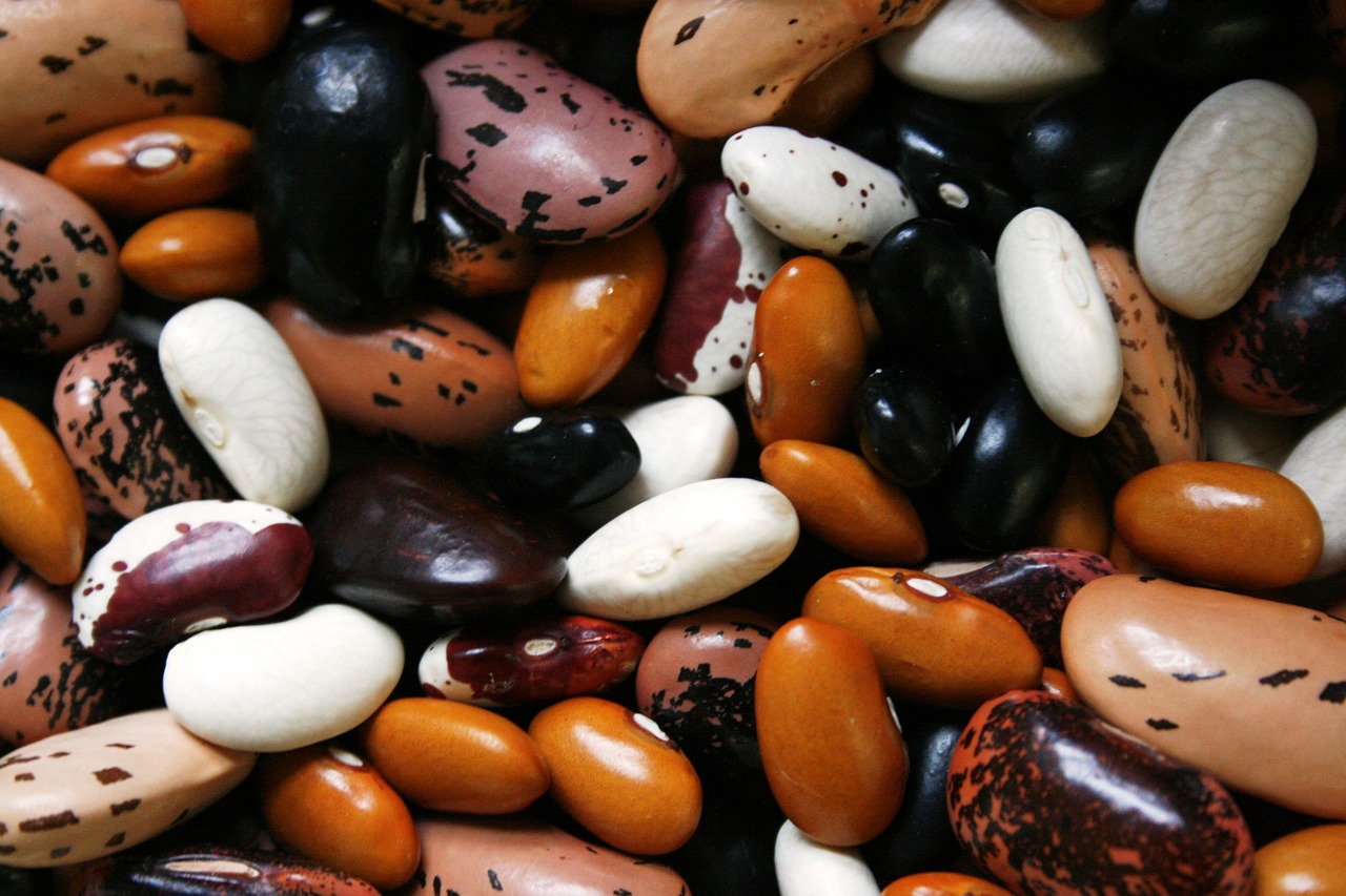 Beans and Legumes: Fiber-Rich and Filling (image credits: pixabay)