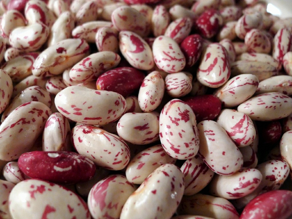 Beans and Legumes - The Mineral-Rich Workhorses (image credits: flickr)