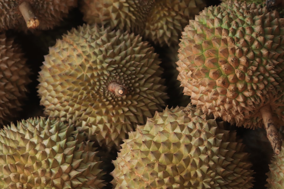 Durian: The King of Fruits (image credits: unsplash)