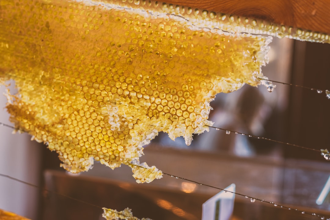 Raw Honey: Nature’s Golden Medicine (image credits: unsplash)