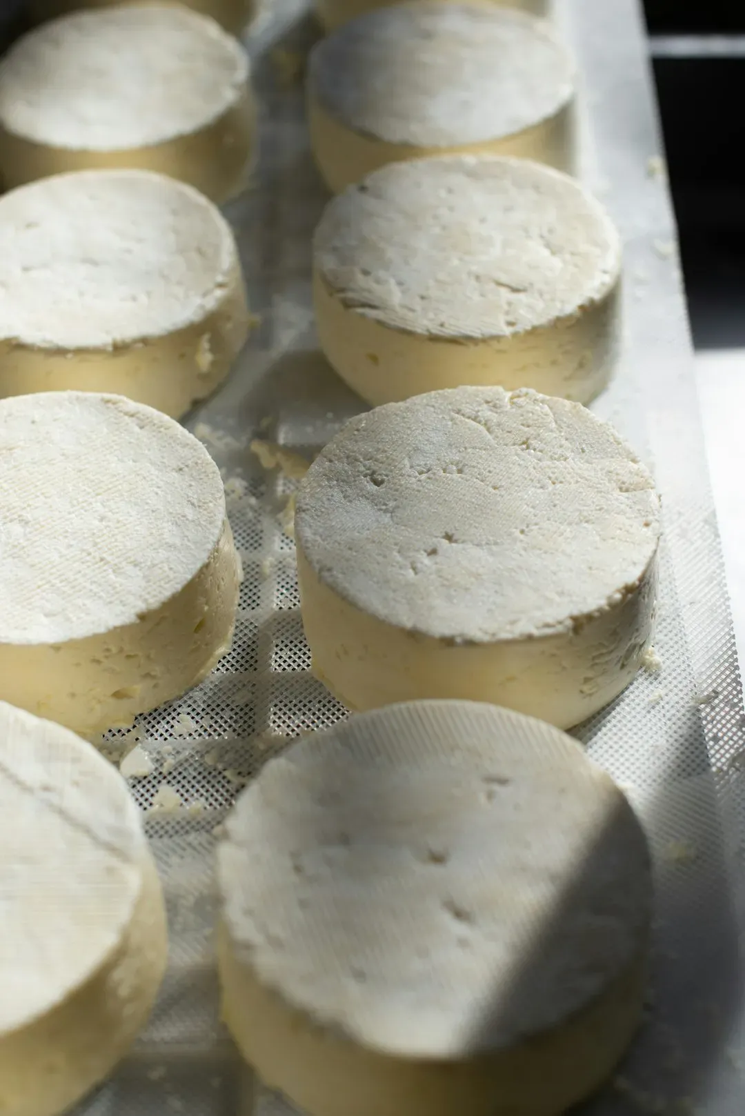 Specialty Cheese: From Bland to Brilliant With One Handful (Image Credits: Unsplash)