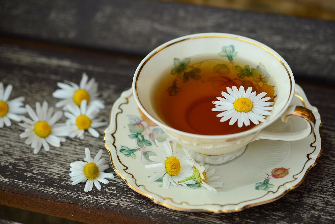 Chamomile: Calming Blossoms (image credits: pixabay)