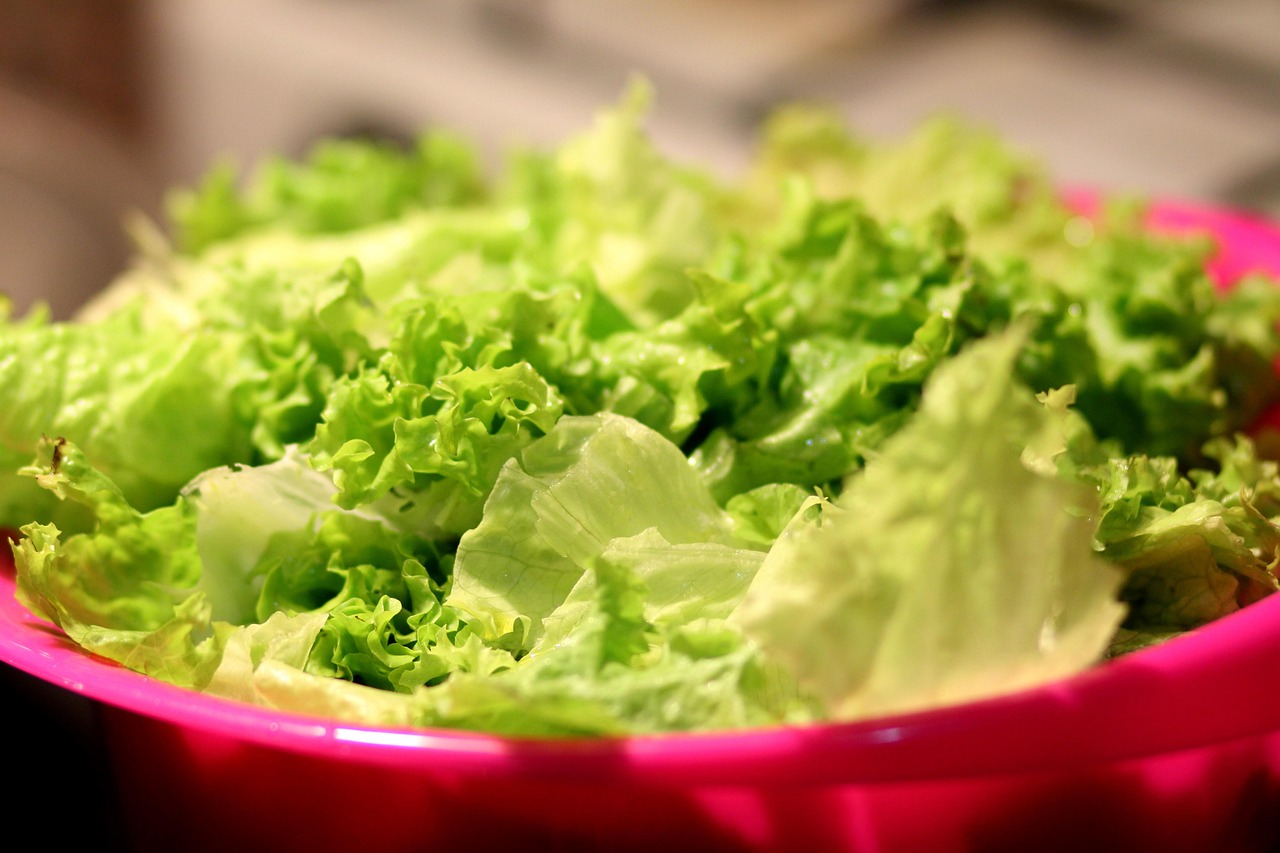Choose the Right Type of Iron (image credits: pixabay)