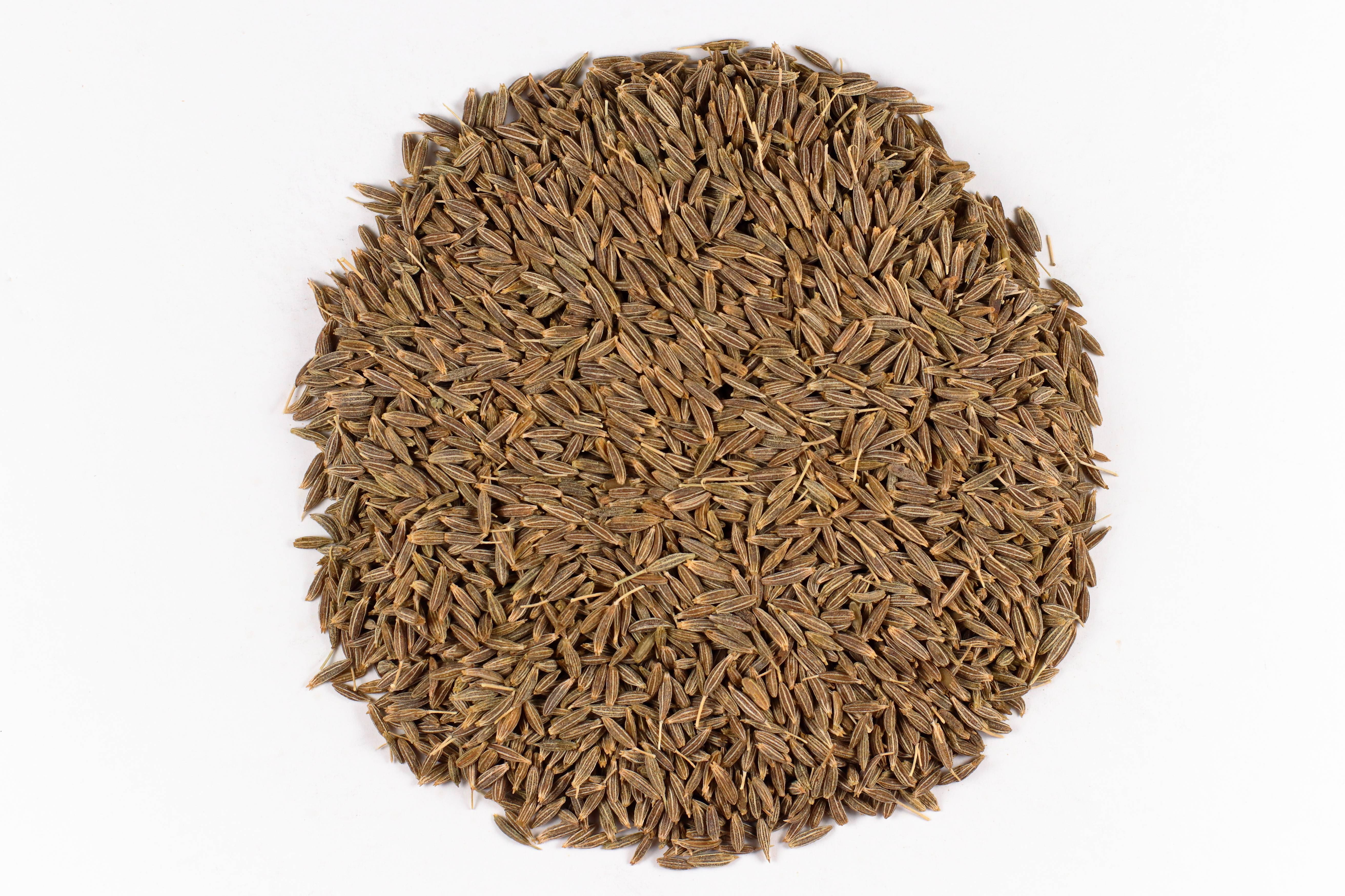 Cumin Seeds (image credits: wikimedia)