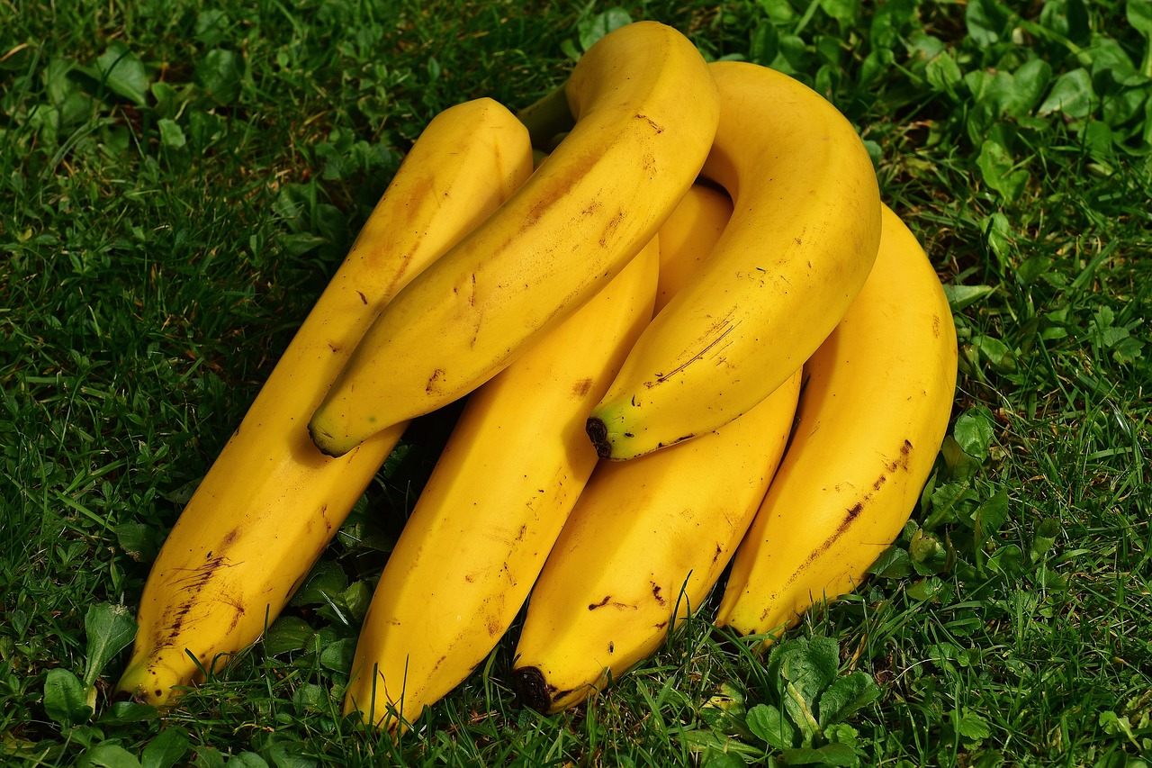 Bananas: Popular but Potent (image credits: pixabay)