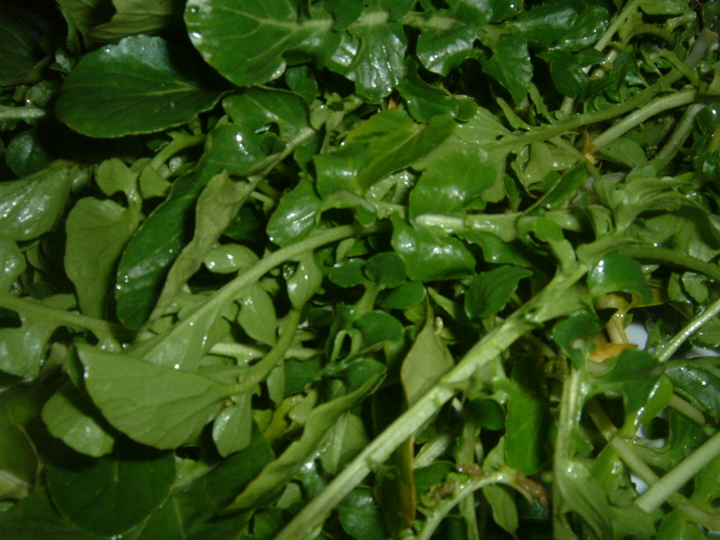 Watercress (image credits: flickr)
