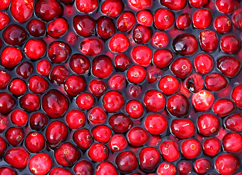 Cranberries (image credits: flickr)