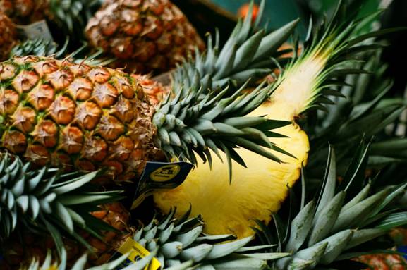 Pineapple: Bromelain Benefits (image credits: wikimedia)