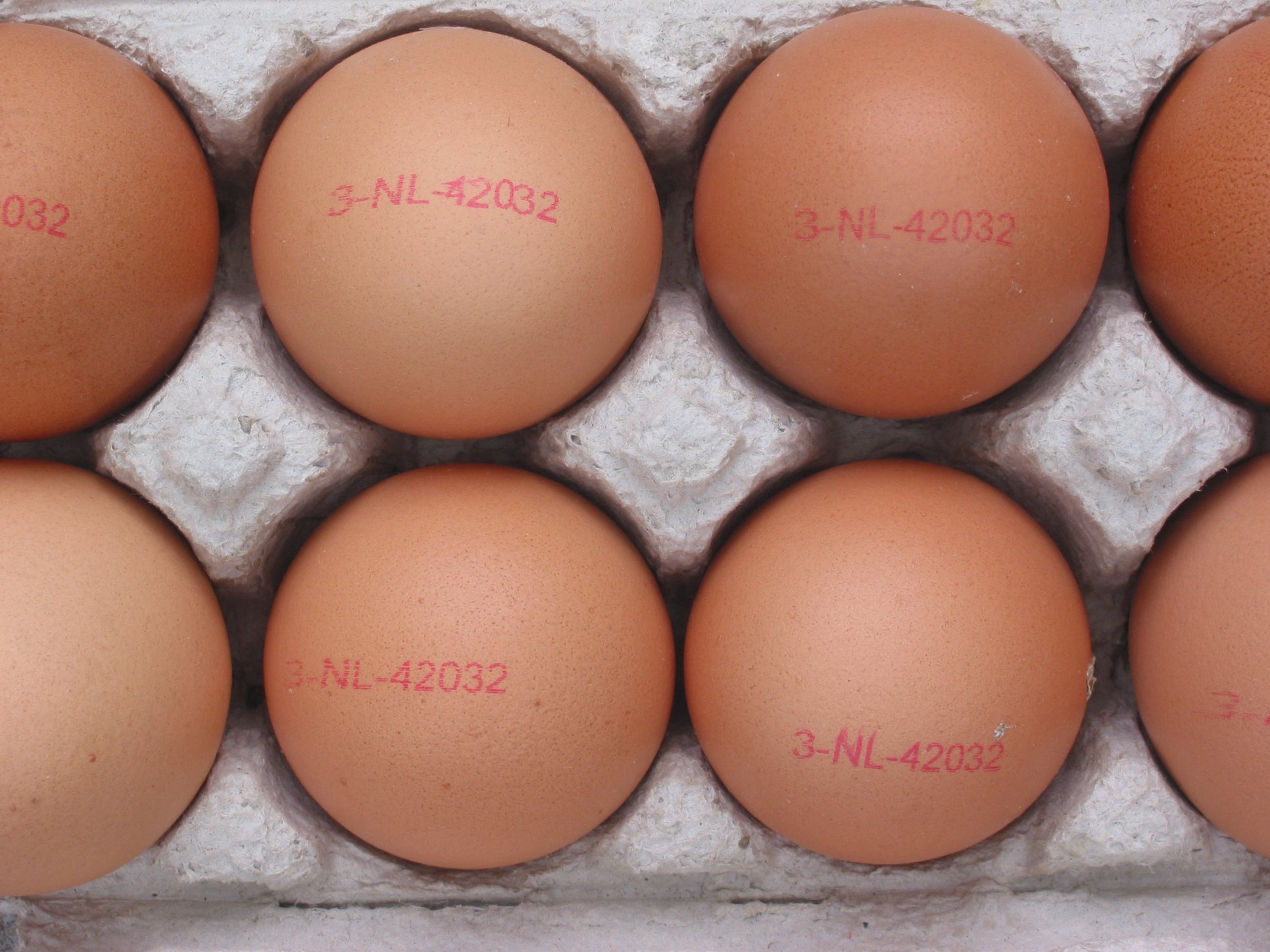 Special Rules for Eggs and Their Dating System (image credits: wikimedia)