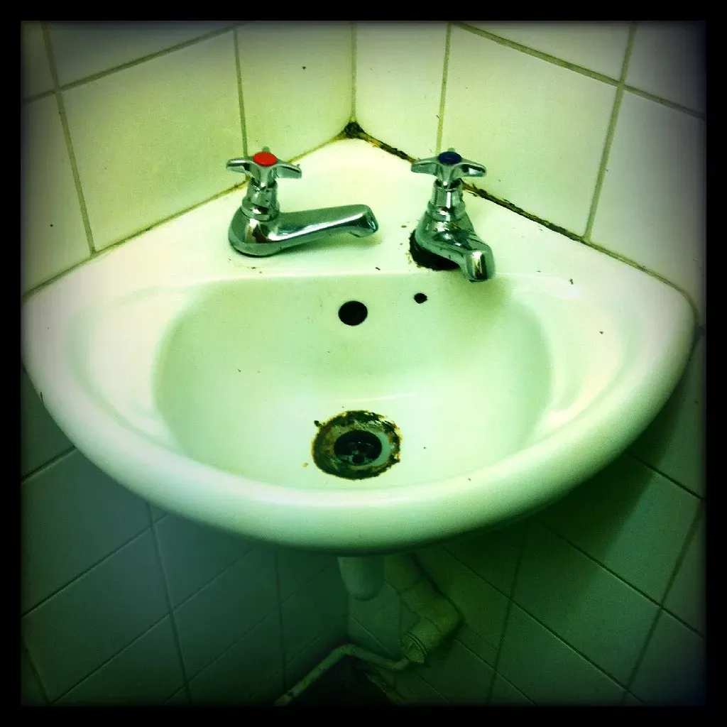 The Bathroom Tells the Real Story (Image Credits: Flickr)