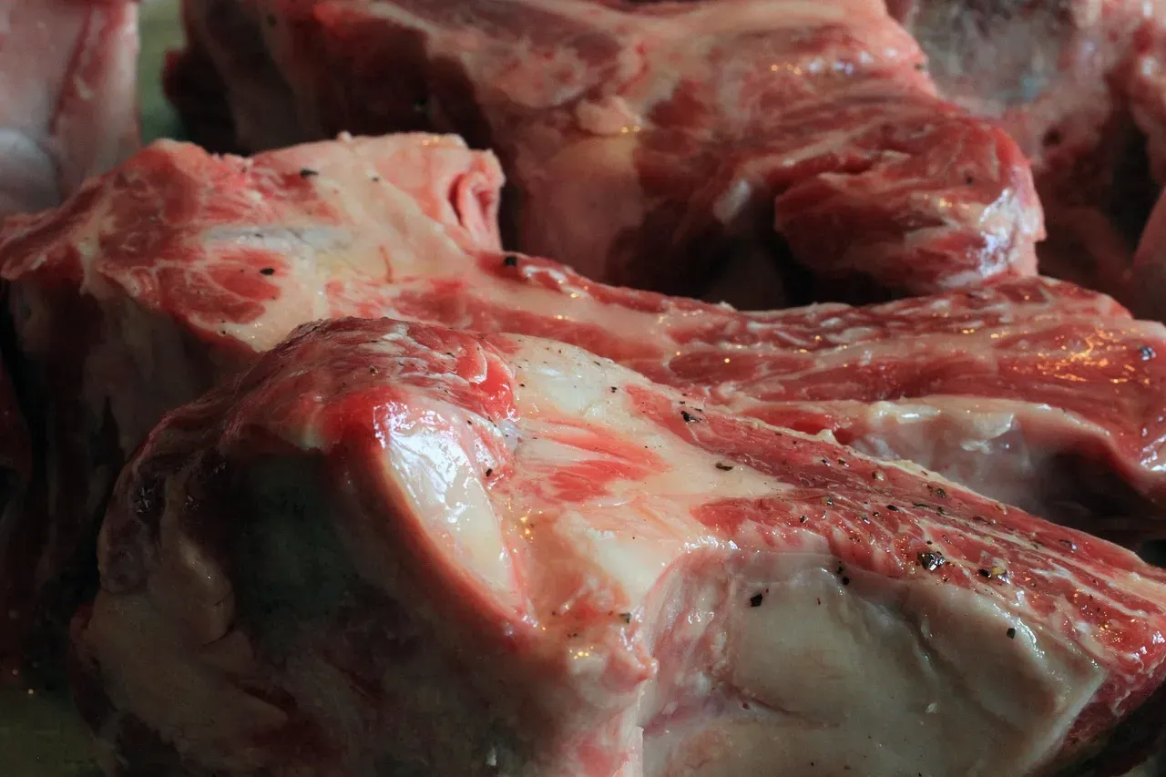 Large Bones from Meat and Fish (Image Credits: Pixabay)