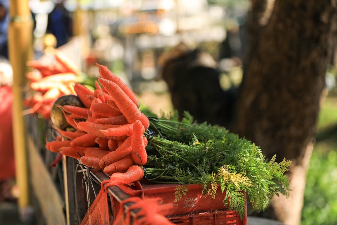 Carrots: The Beta-Carotene Powerhouse (image credits: unsplash)
