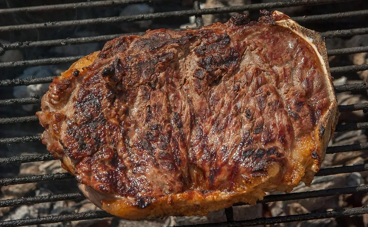 Dad's Backyard BBQ Ribs (Image Credits: Pixabay)