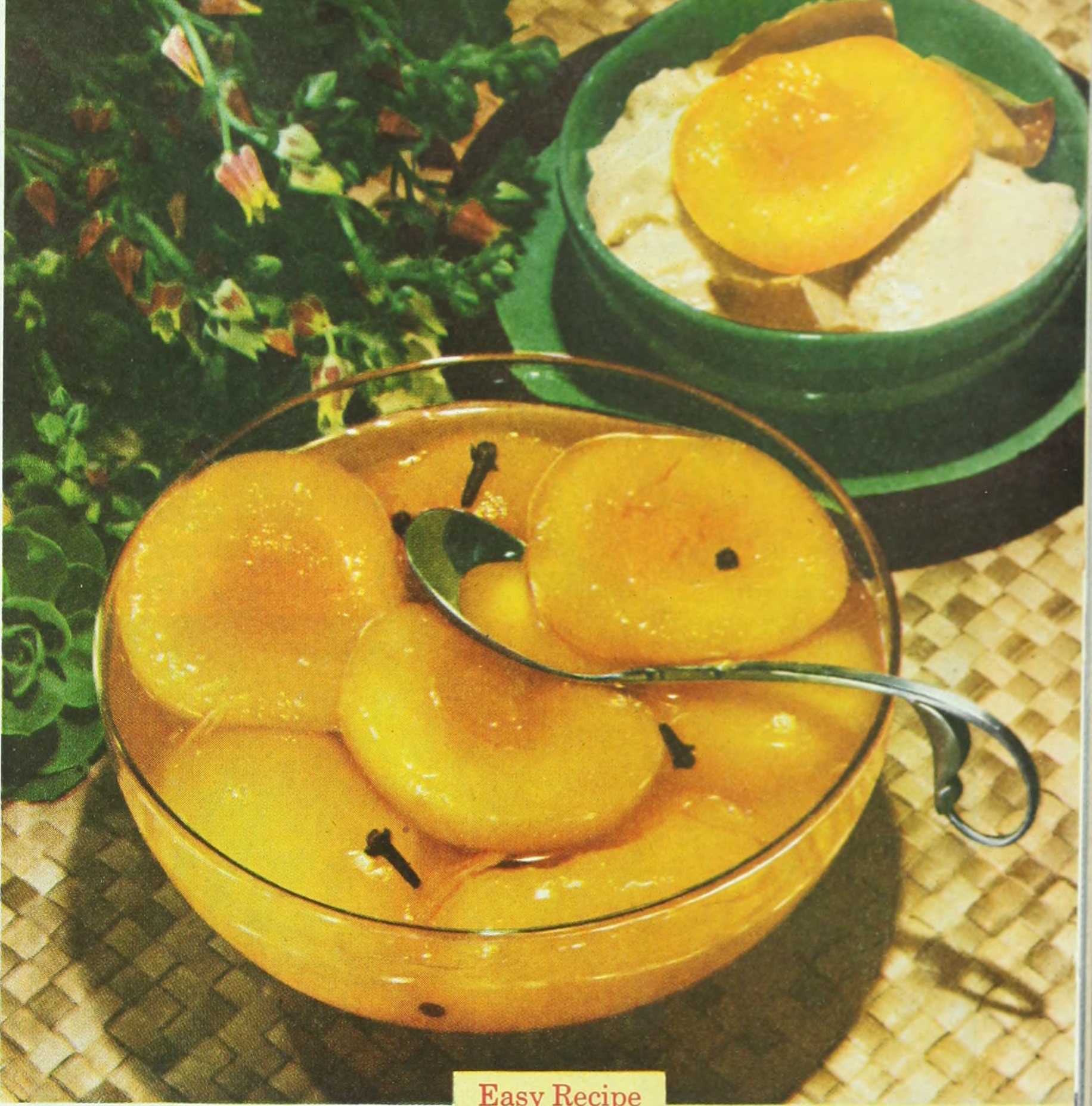 Canned Fruit in Syrup (image credits: wikimedia)