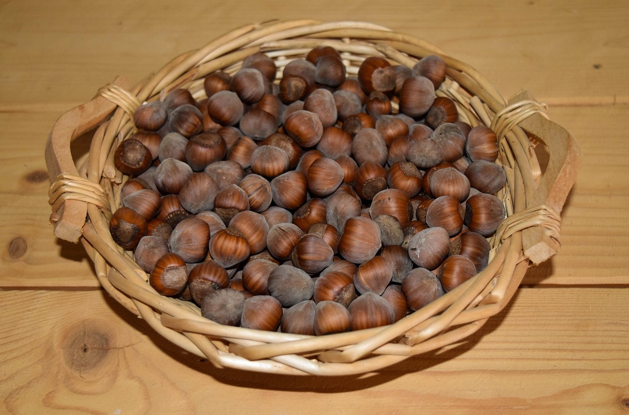 Hazelnuts: The Heart-Healthy Nut (image credits: pixabay)