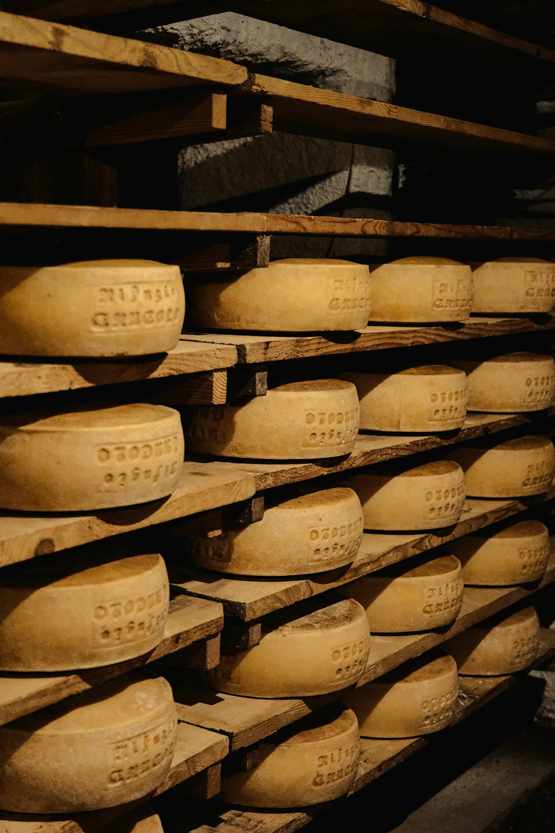 The Secret World Beneath Our Cheese Boards (image credits: unsplash)