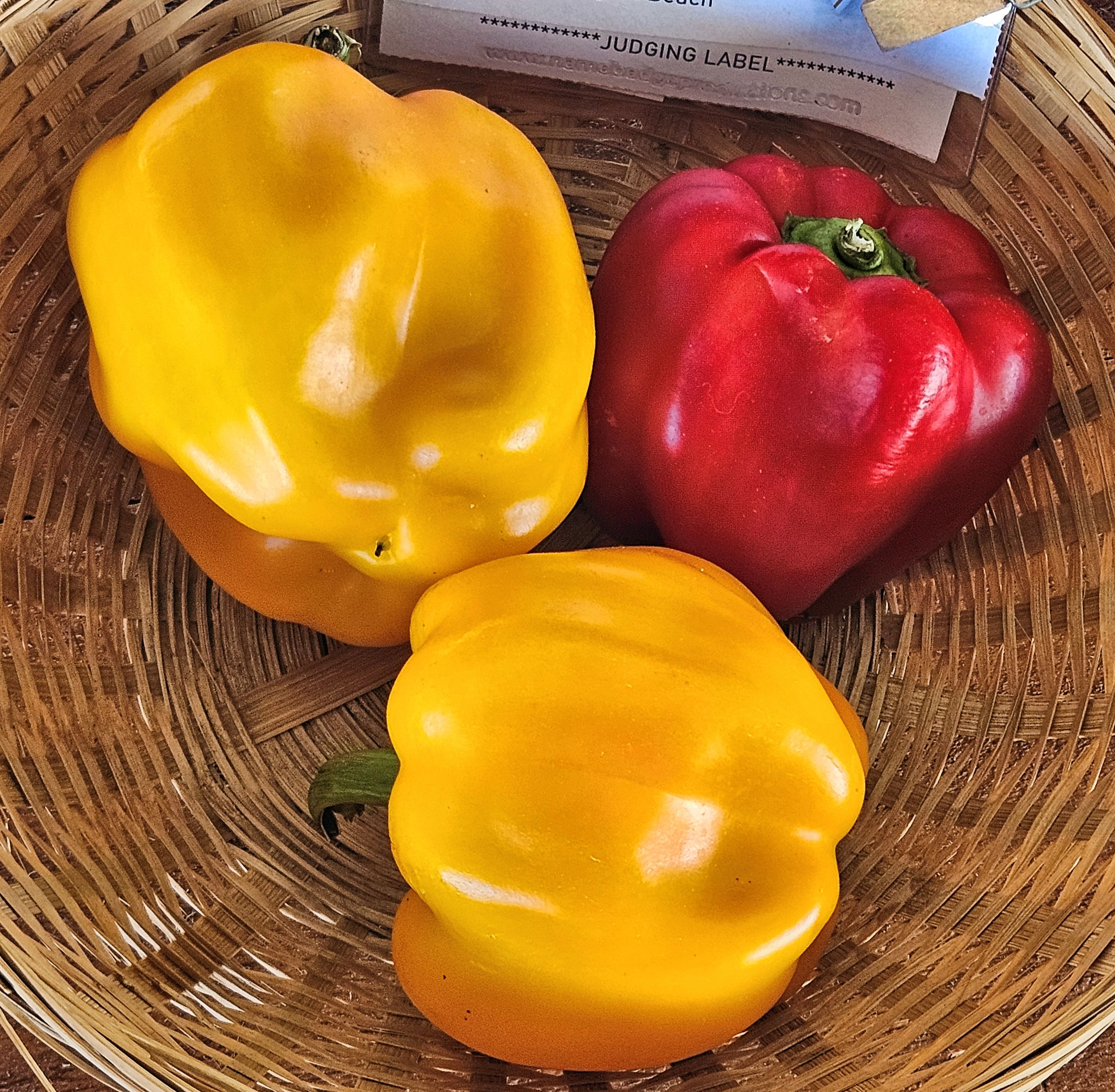 Red Bell Peppers: Colorful Crunch with Extra Nutrition (image credits: wikimedia)
