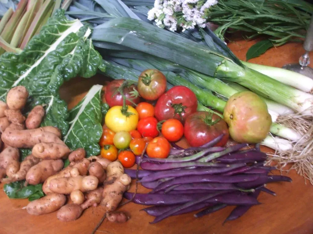 Genetic Diversity Equals Culinary Insurance (Image Credits: Flickr)