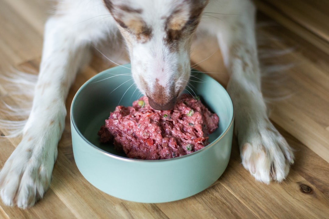 Homemade Meals Without Expert Guidance (image credits: unsplash)