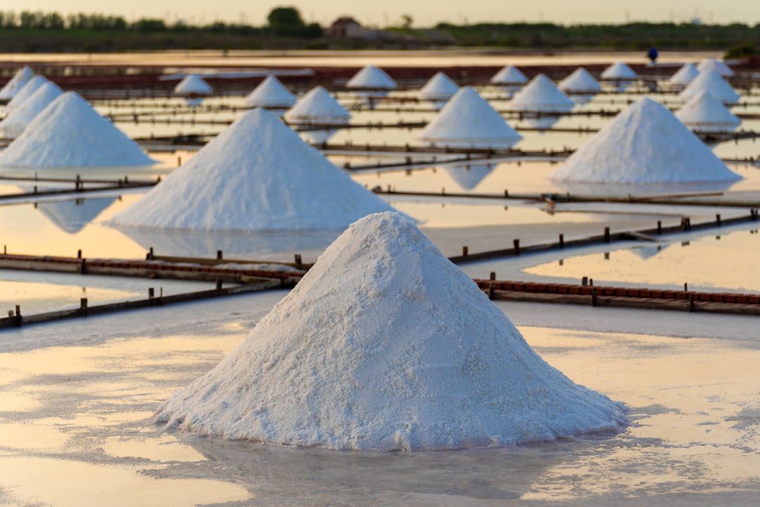 Current Guidelines and How the World Is Cutting Back on Salt (image credits: unsplash)