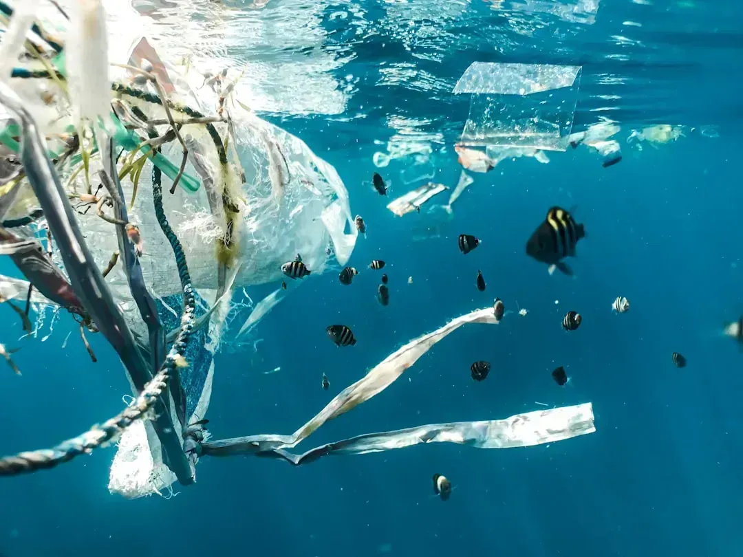 The Environmental Angle Nobody's Talking About (Image Credits: Unsplash)