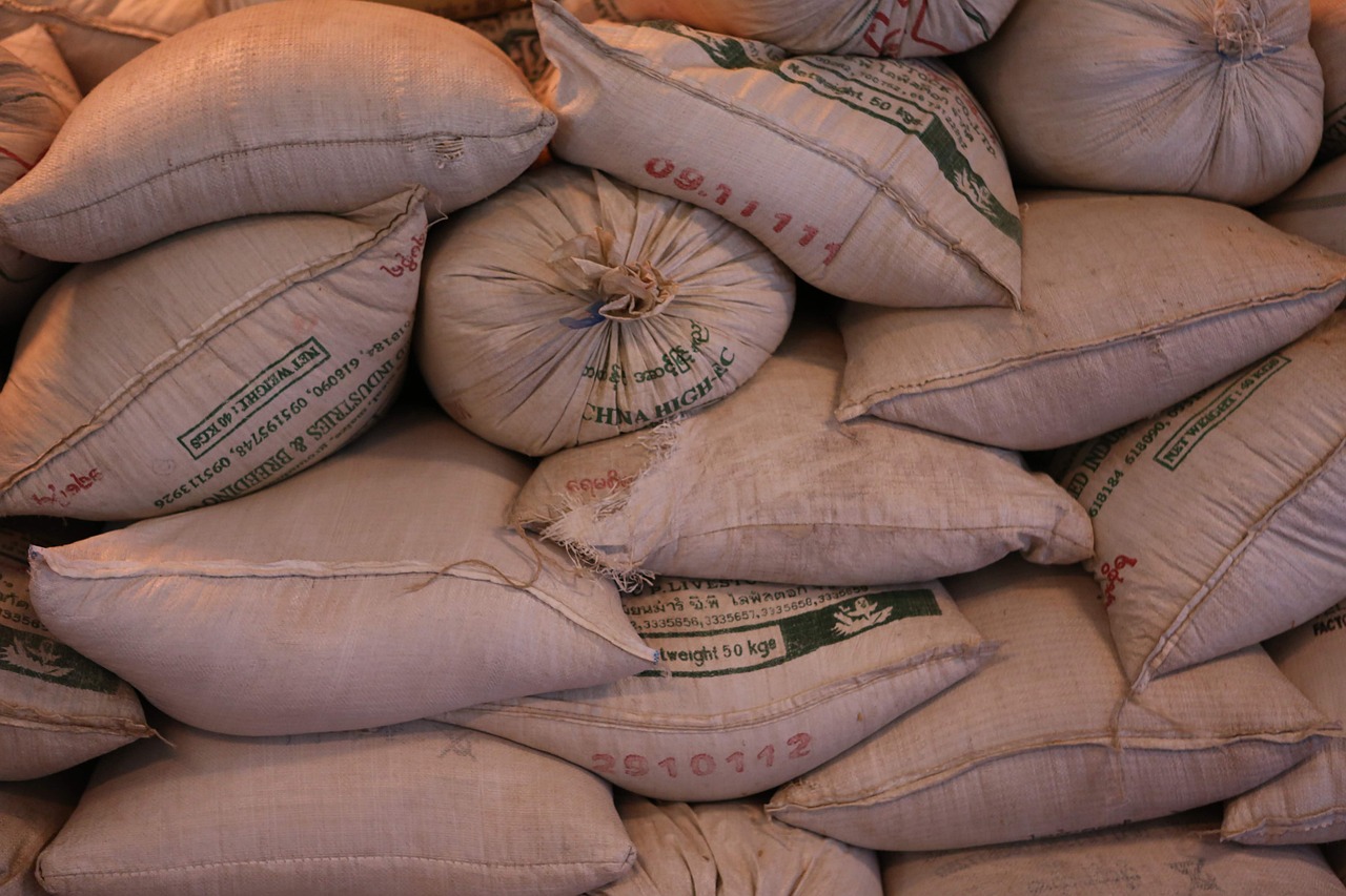 6. Rice (image credits: pixabay)