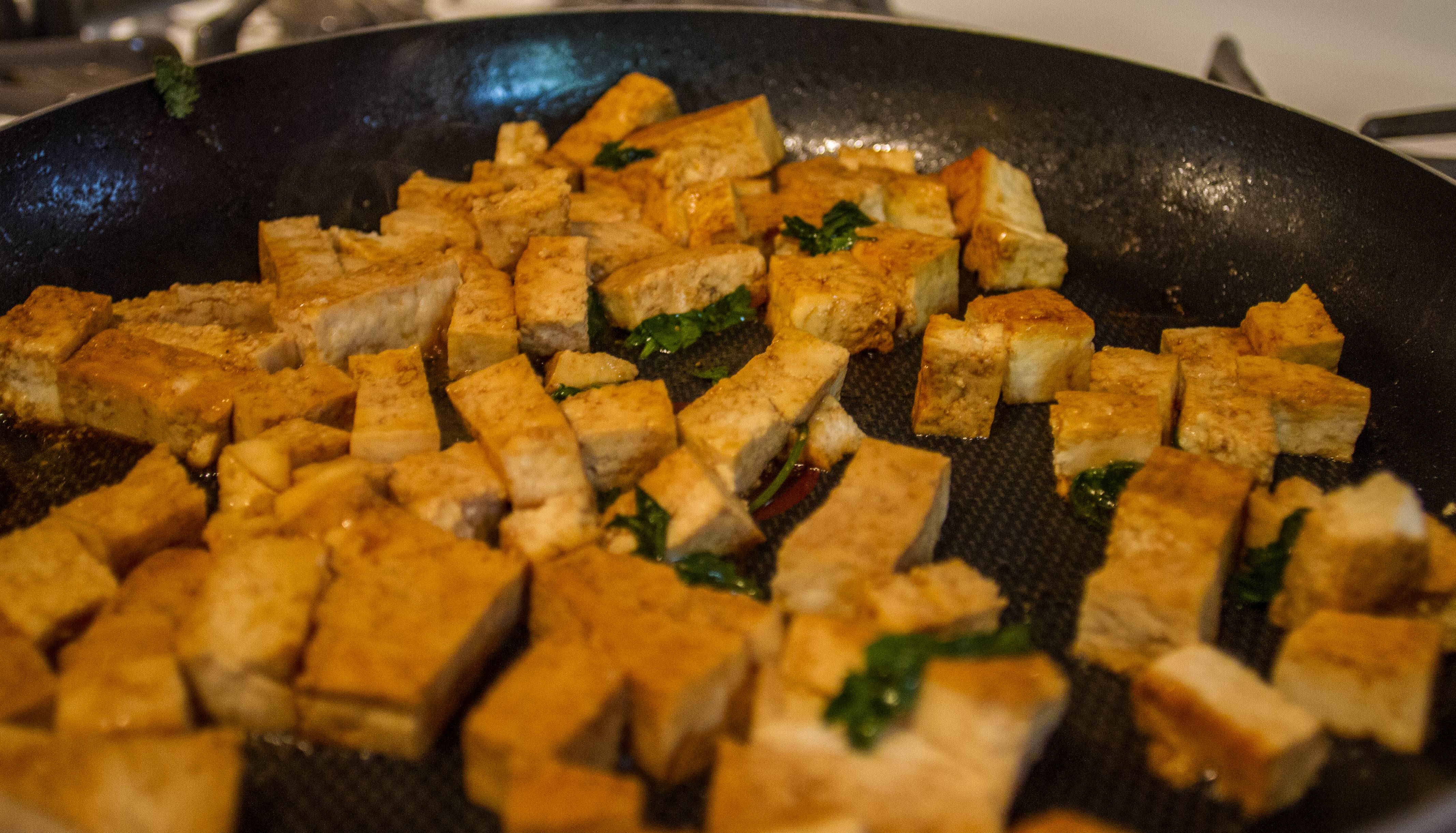 Tofu (image credits: wikimedia)