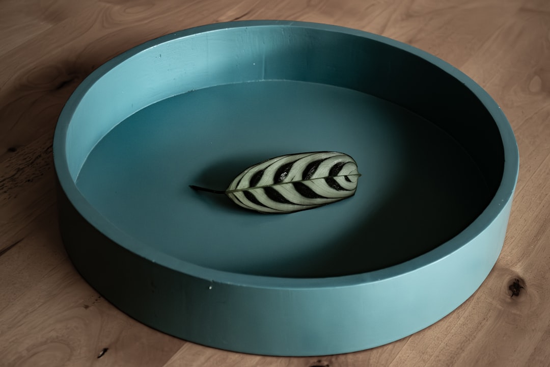 Rotating Trays - Even Heat Distribution (image credits: unsplash)