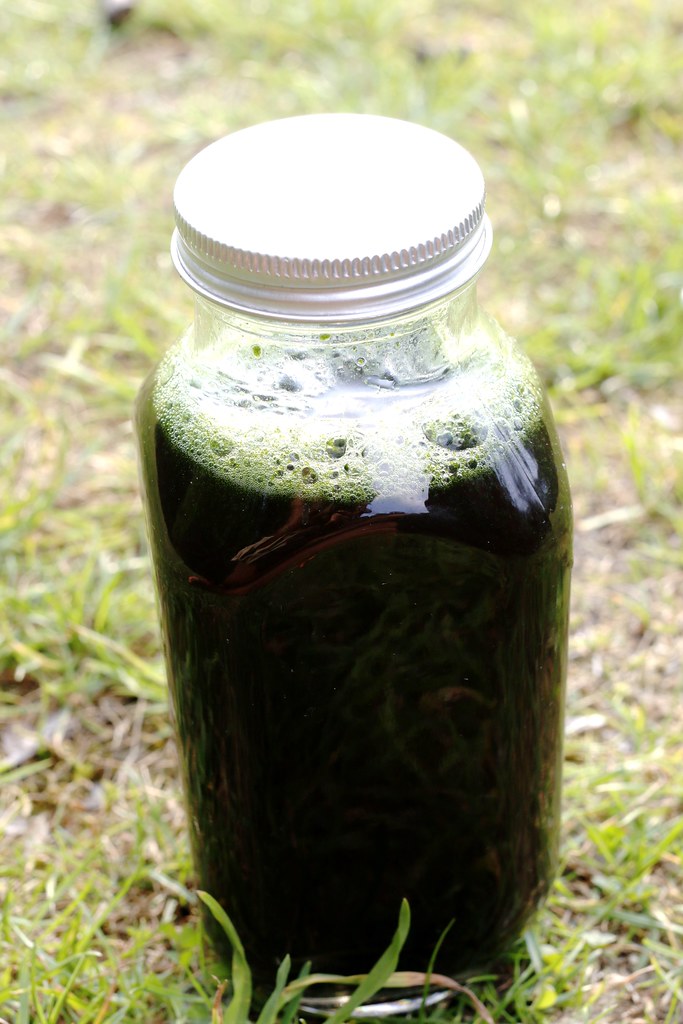 Spirulina: The Tiny Algae With Big Protein (image credits: flickr)