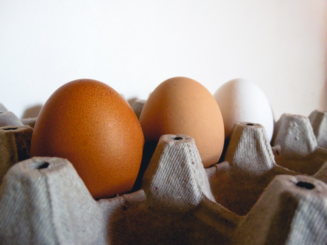 Recent Research on Fortified Eggs Shows No Cholesterol Impact (Image Credits: Unsplash)