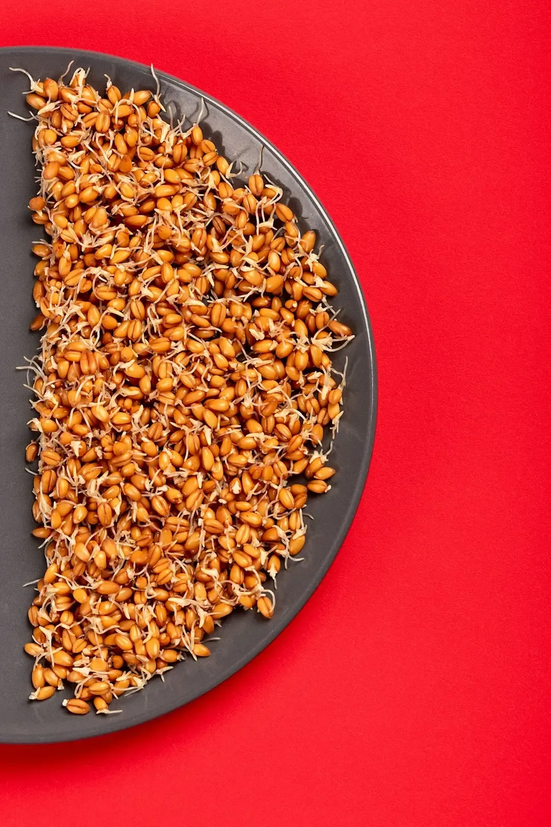 The Gluten-Free Revolution and Ancient Grains (Image Credits: Unsplash)