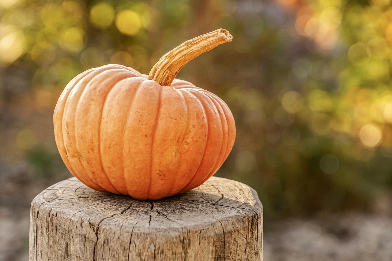 Pumpkin: The Seasonal Skin Saver (image credits: pixabay)