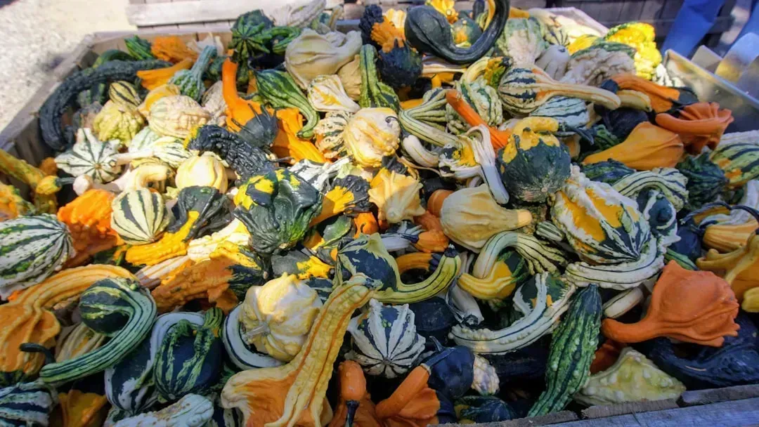 Vegetable Scraps (Image Credits: Unsplash)