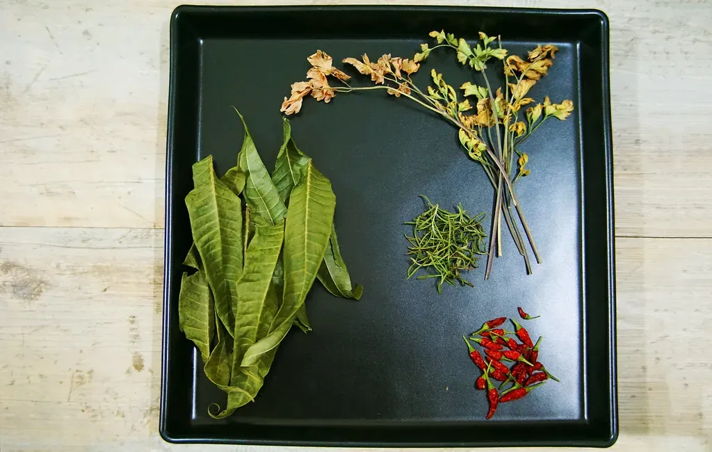 Fresh Herbs and Aromatic Ingredients Are Everywhere (Image Credits: Flickr)