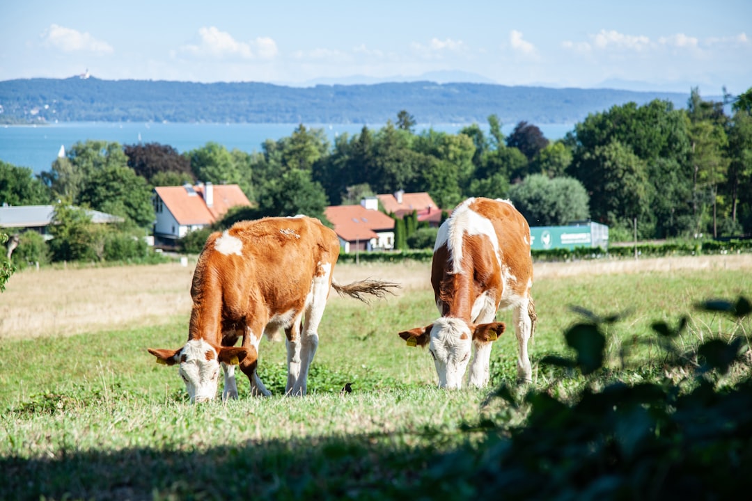Sweden's Scandinavian Dairy Culture (Image Credits: Unsplash)