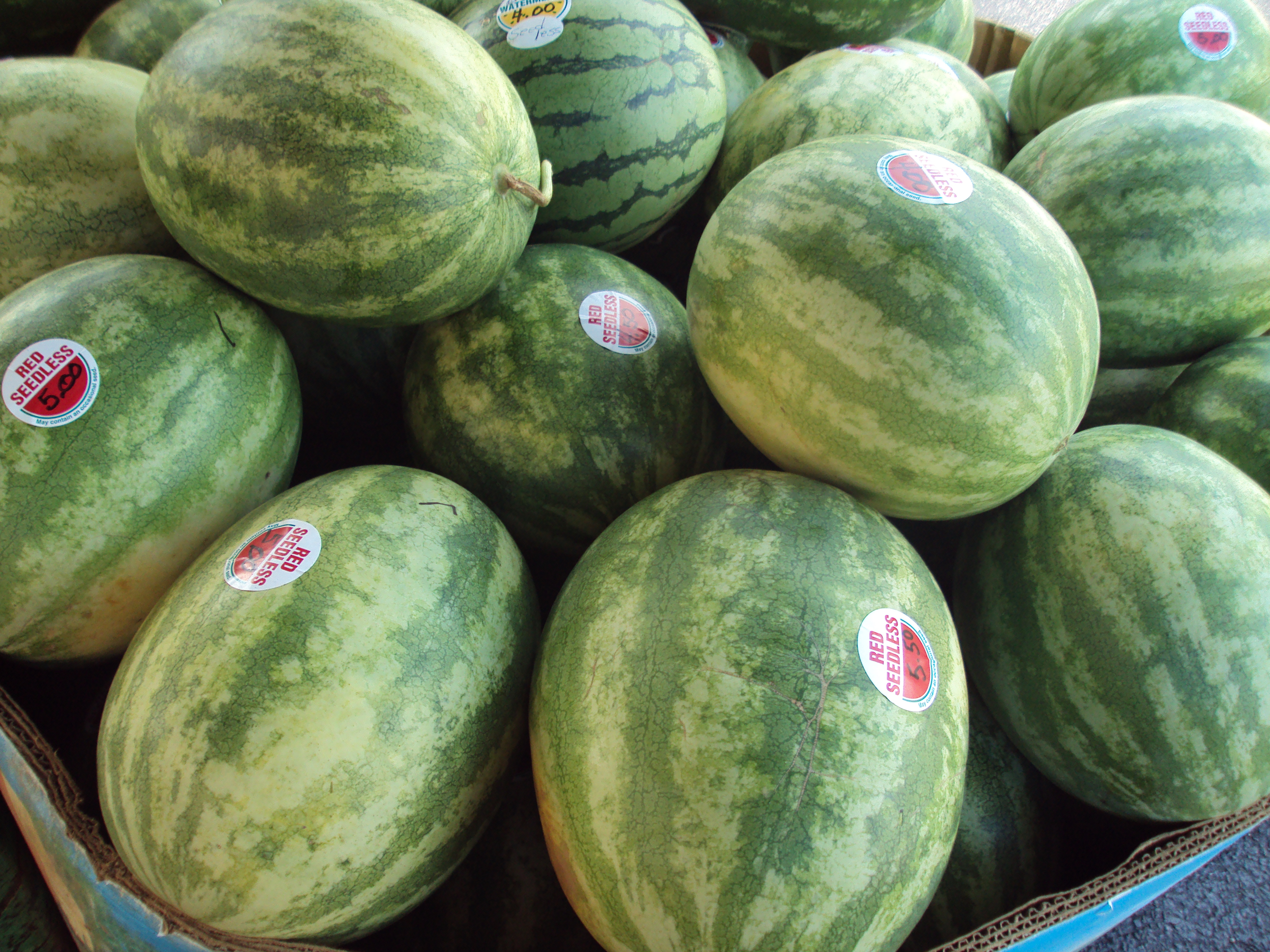 Inspect the Webbing and Sugar Spots (image credits: wikimedia)